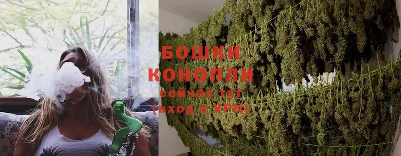 Каннабис OG Kush  где продают   Волхов 